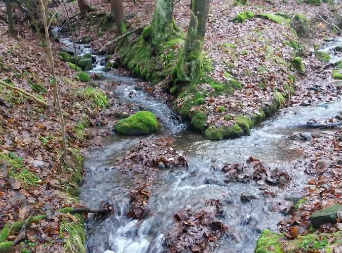 Fam. Gottbehuet Feriehus Oberweid